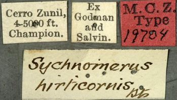 Media type: image;   Entomology 19704 Aspect: labels